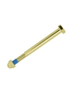 Spring Fork Center Bolt/Nut Gold.